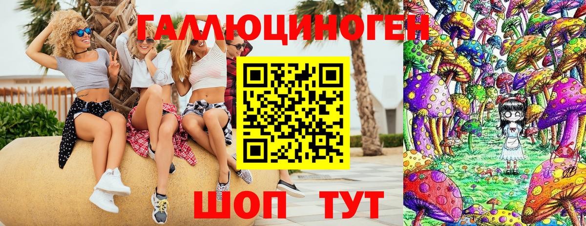Балтийск  Галлюциногенные грибы прущие грибы  Вход с VPN 