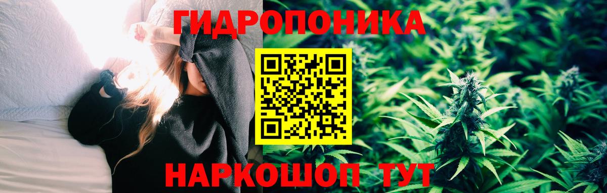 Конопля гибрид  Вход с VPN  МАРИХУАНА Amnesia  Балтийск 